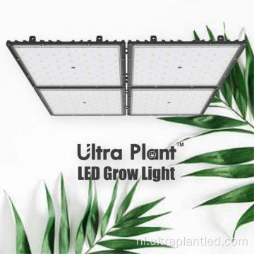 Witte LED Flower 150W Full Spectrum Grow Light